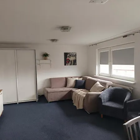 Accommodatie bij particulieren Goscinne U Brodzi *
